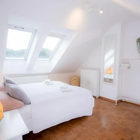 公寓 Duplex Panj 克拉尼斯卡戈拉